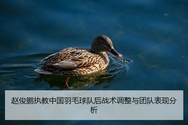 赵俊鹏执教中国羽毛球队后战术调整与团队表现分析（Tencent Sports）